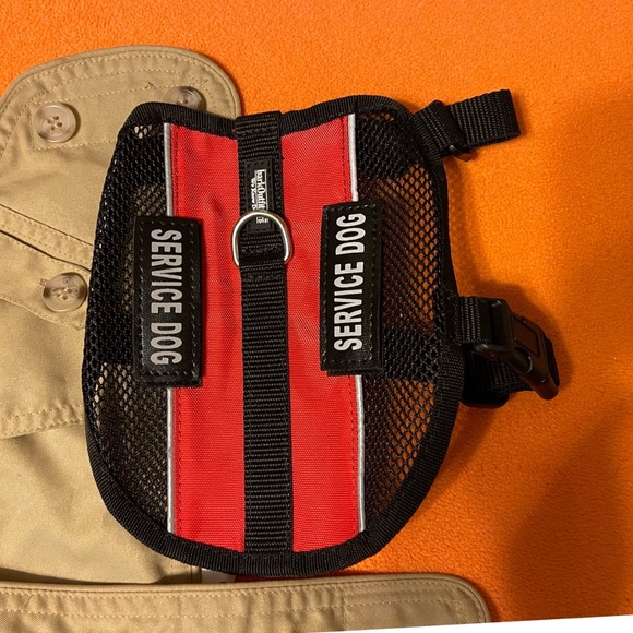 My Dog dresses better than me 🐶🧥 - Picture 5 of 7